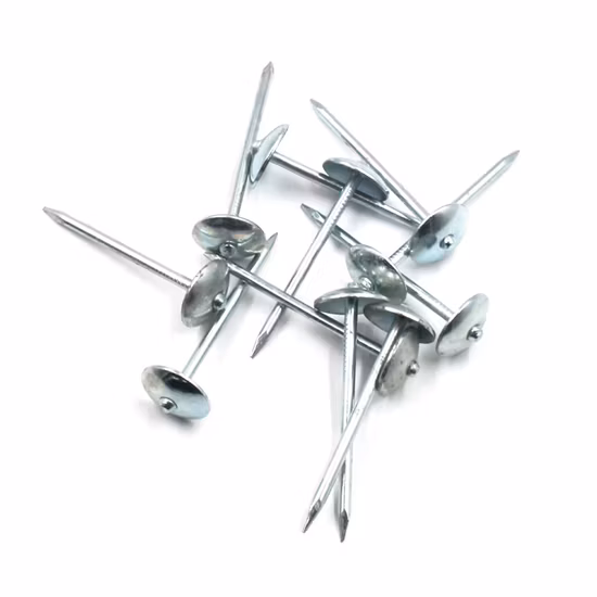 Clavos para tejados corrugados con cabeza de paraguas de mango liso galvanizado de fabricante directo