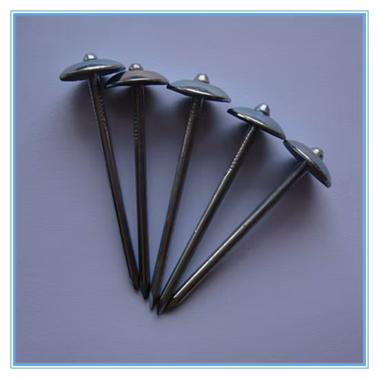 Clavos para techos con cabeza de paraguas galvanizada de buena calidad