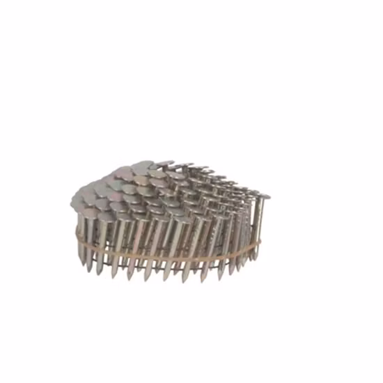 Clavos electrogalvanizados de alta calidad para tejados con buen precio