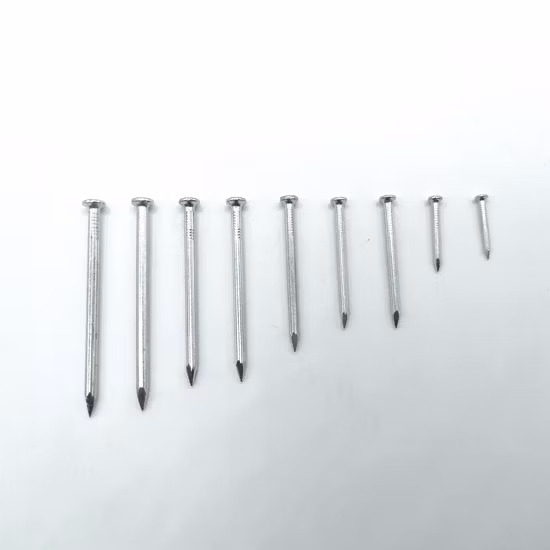 Hierro/acero/cemento/común/cabeza redonda/gancho/tejado/rollo/disparo/clavos