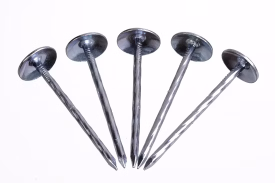 Venta al por mayor de suministros de uñas para techos, clavos de amianto, clavos para techos corrugados de la fábrica de China