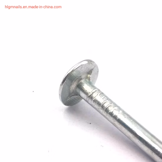 Clavos para techos Clout/Clavos para techos /Clavos de fieltro /Grande