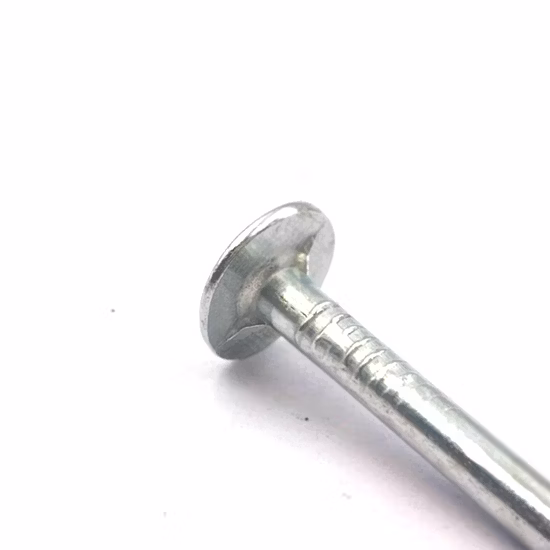 Original Clavos para techos de cabeza plana de 25mm X 3 mm/clavos galvanizados para techos/clavos para techos en espiral/clavos de cobre/clavos de hierro/clavos galvanizados